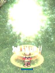 224943 B