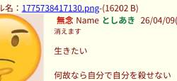 81587 B