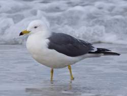 697887 B