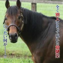 832484 B
