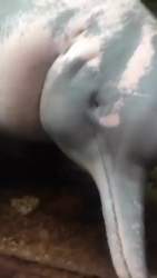2143387 B