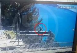 6262157 B