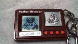 1220808 B