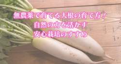 92892 B