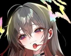 22263 B