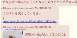 295524 B