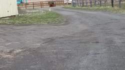 4822523 B