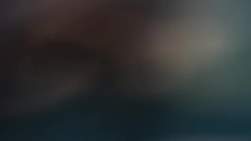 8182164 B