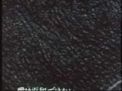 5456603 B