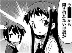 54462 B