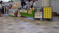 2446534 B