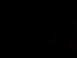 4922021 B