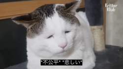 138194 B