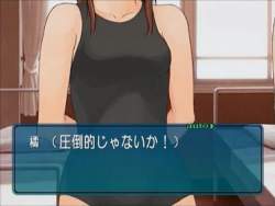 21343 B