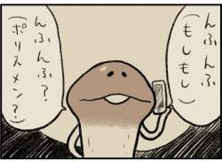 43267 B