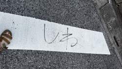 3249905 B