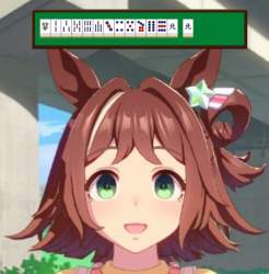1039335 B