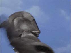 2037899 B