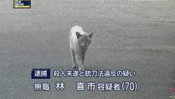 410517 B