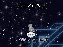 50555 B
