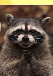 78602 B