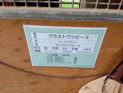 1026854 B