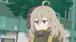 8030618 B