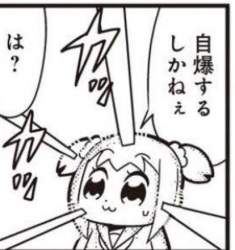 33643 B