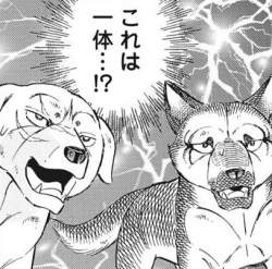 101565 B