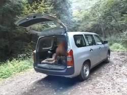 7293258 B