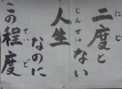 10533 B