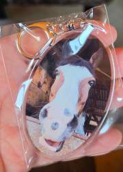 346464 B
