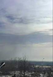 2946591 B
