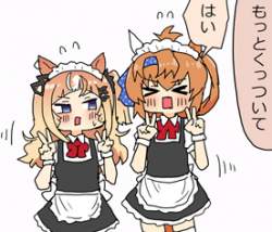 73411 B