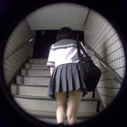 3030031 B