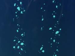 7926663 B