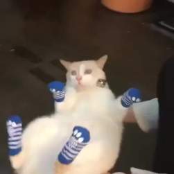 938623 B