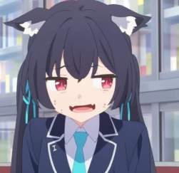 24229 B