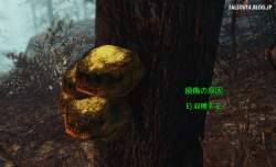 116497 B
