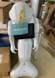 34344 B