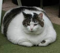 9395 B