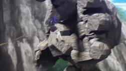 3169780 B