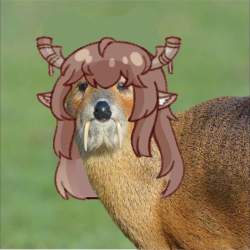 1583802 B