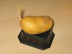 83703 B