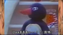 25236 B