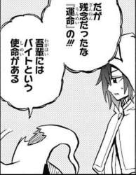 48773 B