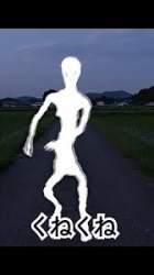 6004 B