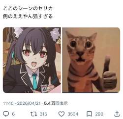 126227 B