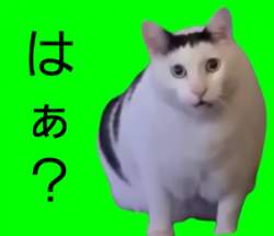 93531 B