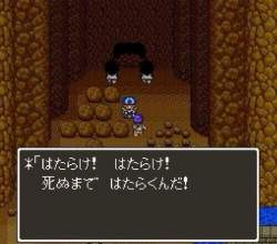 81395 B